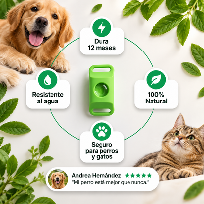12 Meses de Protección Antipulgas y Garrapatas 100% Natural para Perros